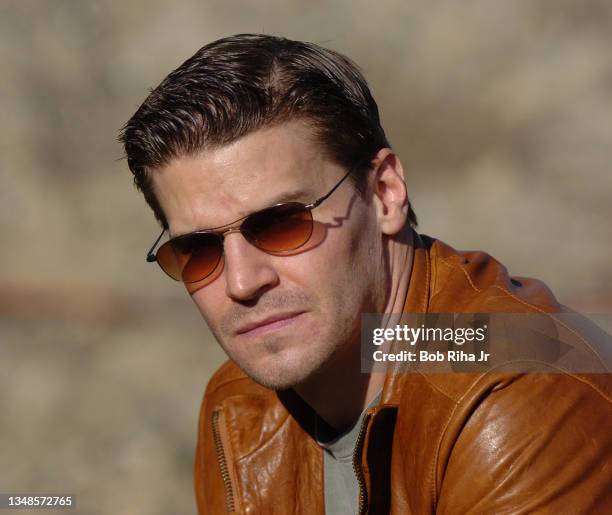 Bones" TV show actor David Boreanz, November 4, 2005 in Newhall, California near Los Angeles.