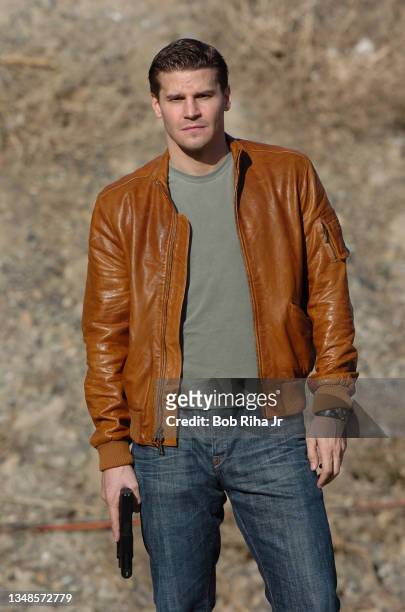 Bones" TV show actor David Boreanz, November 4, 2005 in Newhall, California near Los Angeles.