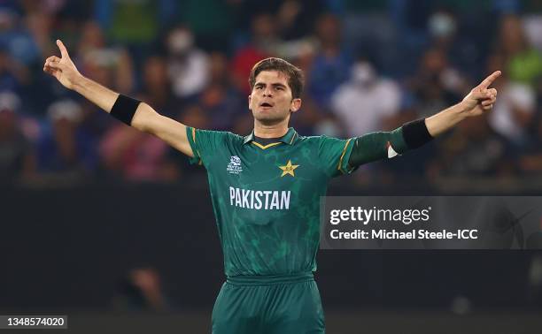 Shaheen Afridi of Pakistan celebrates the wicket of Virat Kohli of India during the ICC Men's T20 World Cup match between India and Pakistan at Dubai...