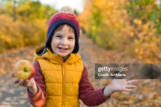 petit garçon profitant des journées d’automne ensoleillées dans un parc - kids play apple photos et images de collection