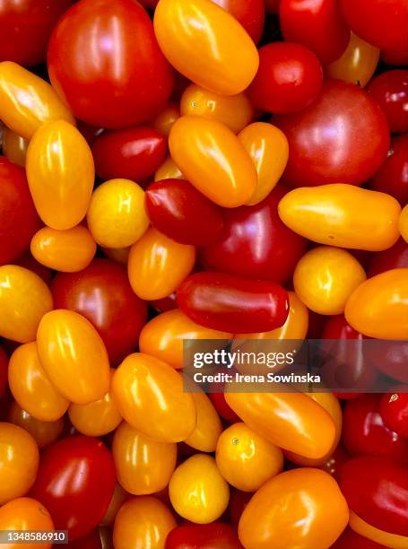 cherry tomatoes - tomate cerise photos et images de collection