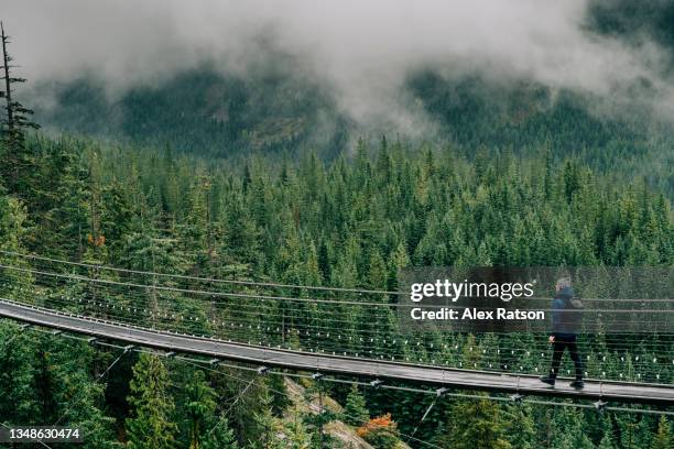 a young man walks across a suspension bridge high above rainforest near squamish, bc on a stormy day - hängebrücke stock-fotos und bilder