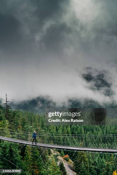 a young man walks across a suspension bridge high above rainforest near squamish, bc on a stormy day - vancouver bridge stock pictures, royalty-free photos & images
