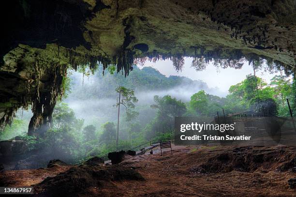 large natural cave and tropical rain forest - borneo rainforest stock pictures, royalty-free photos & images