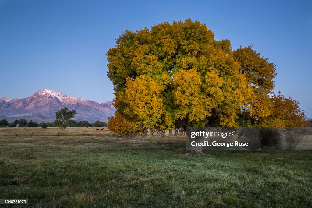 Autumn Along the Eastern Sierra Mountain Range
