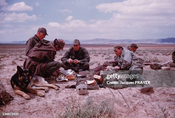 French soldiers with a dog eating during an operation in the interior of Algeria in 1961 during the Algerian war.