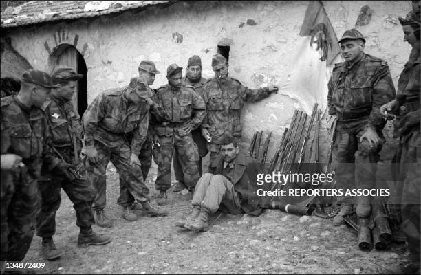 Prisoner in the middle of French soldiers during "Operation Bigeard" in March 1956, when an armed outbreak in Souk-Ahras, South of Constantine...