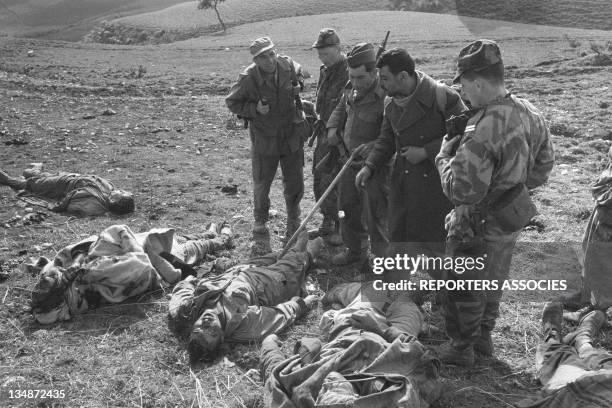 Soldiers and prisoners and dead bodies during the "Operation Bigeard" in March 1956, when an armed outbreak in Souk-Ahras, South of Constantine...