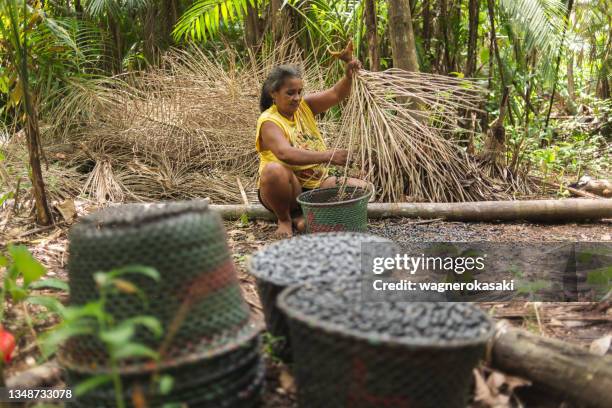 female worker manually threshing acai fruits from the bunch in the forest. "rasas" or "paneiros" (traditional straw baskets) full of acai fruits defocused on foreground - amazonia stockfoto's en -beelden