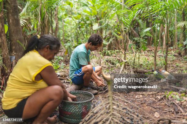 grupo de trabajadores que hurgan manualmente en los frutos de acai recién cosechados en el bosque - estado pará fotografías e imágenes de stock