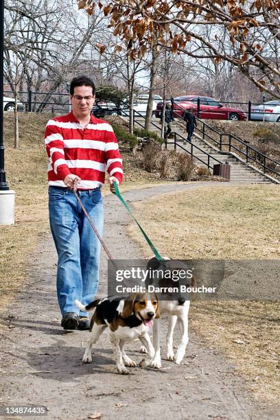 man walking with two dogs - car pet barrier stock pictures, royalty-free photos & images