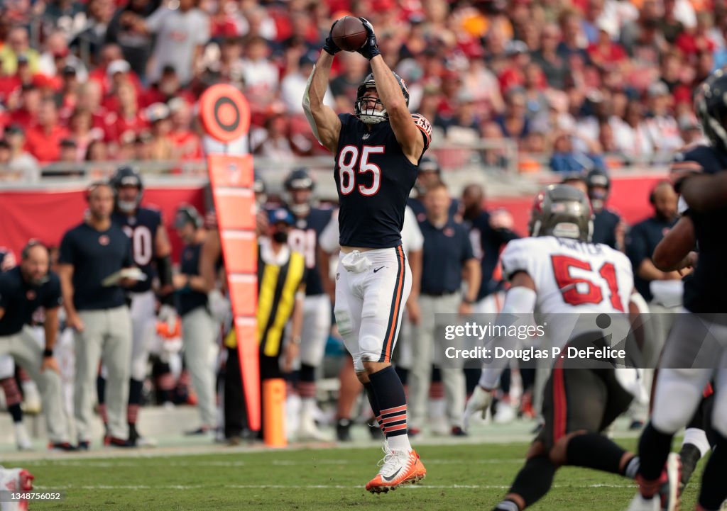 Chicago Bears v Tampa Bay Buccaneers