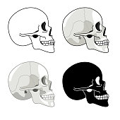Skull profile. Detailed anatomy and halftone silhouette skulls, skeleton head side set, cranium pictures, brainpan symbols isolated on white background