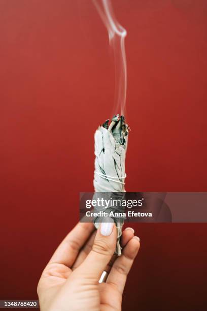 woman is holding in a hand smoldering white sage with smoke on red background. process of room fumigation ritual. copy space for your design. front view - sauge sauvage photos et images de collection