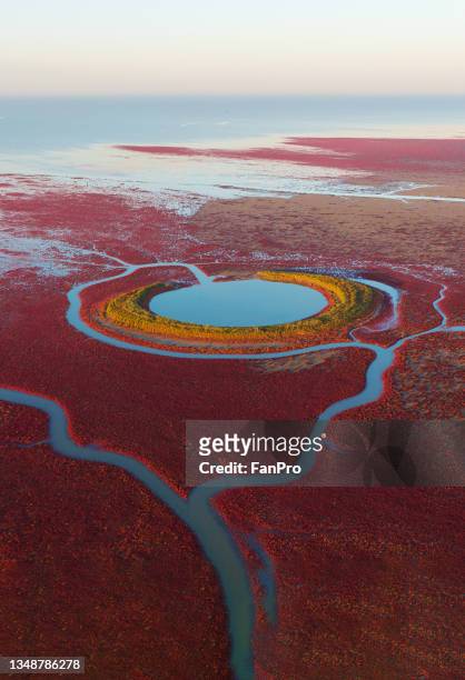 aerial view of red beach - natural landmark stock-fotos und bilder