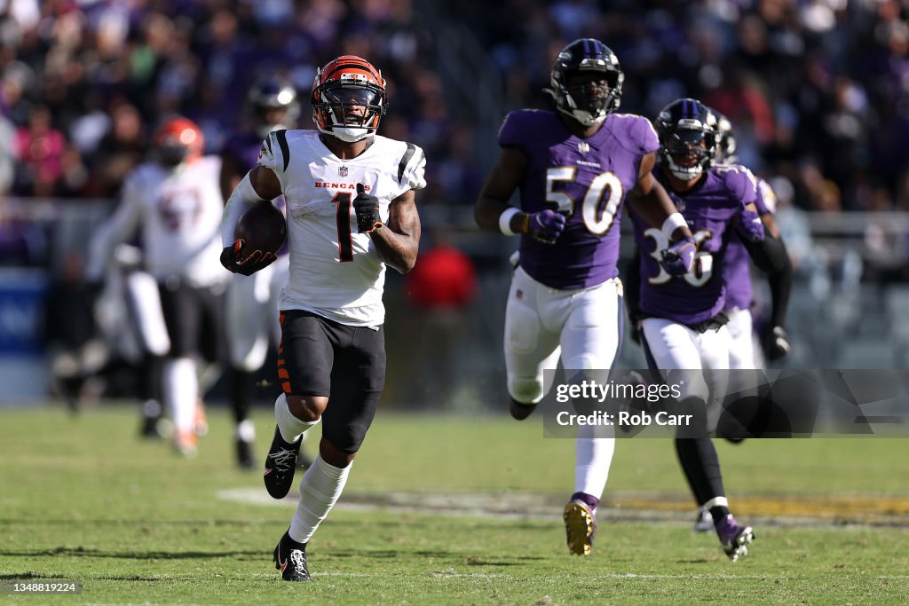 Cincinnati Bengals v Baltimore Ravens