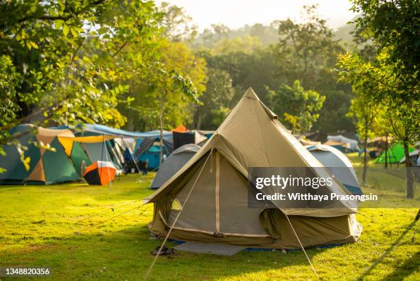 tents camping area, early morning, beautiful natural place - camping fotografías e imágenes de stock