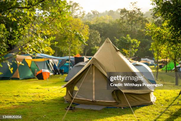 tents camping area, early morning, beautiful natural place - entoldado fotografías e imágenes de stock