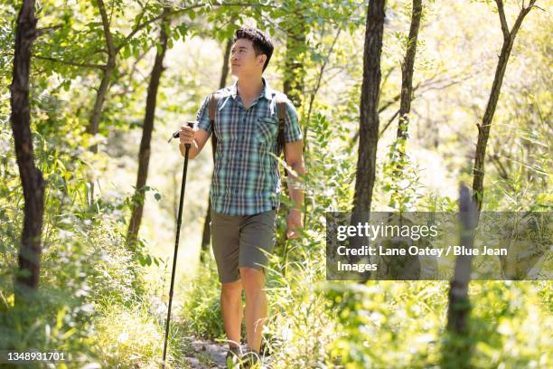 happy young man hiking outdoors - hiking pole stock pictures, royalty-free photos & images