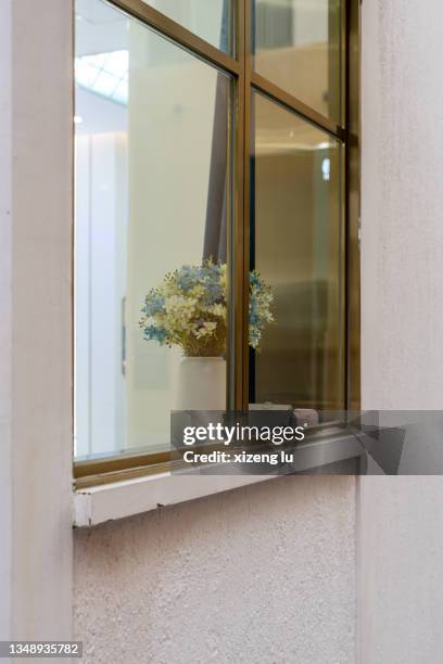 a bunch of flowers in the window - windowsill copy space stock pictures, royalty-free photos & images