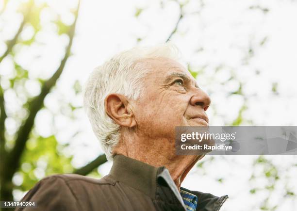 handsome man in his late 70s, seen from low angle, looks noble, serious and determined - distinguished gentlemen with white hair stock pictures, royalty-free photos & images