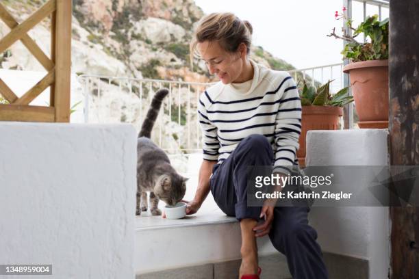 pet love - cat woman stock pictures, royalty-free photos & images