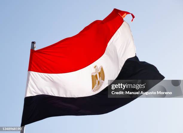 waving flag of egypt - ägyptische flagge stock-fotos und bilder