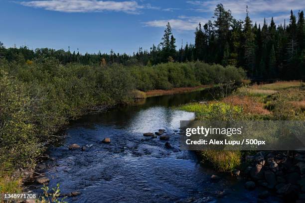 scenic view of river amidst trees against sky,minnesota,united states,usa - minnesota river stock pictures, royalty-free photos & images