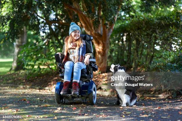 disabled woman in wheelchair and dog in autumn park. - motorized wheelchair stock pictures, royalty-free photos & images
