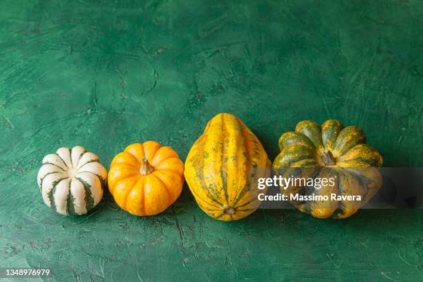 pumpkins, gourds and squashes - pumpkins in a row stock pictures, royalty-free photos & images