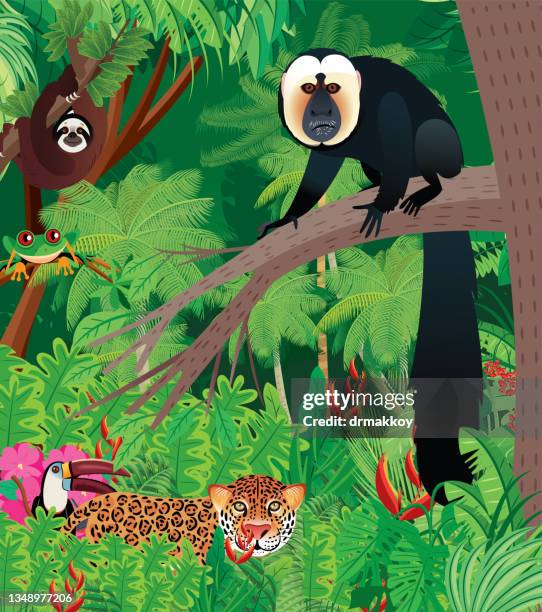 stockillustraties, clipart, cartoons en iconen met white-faced saki and tropical forest - suriname