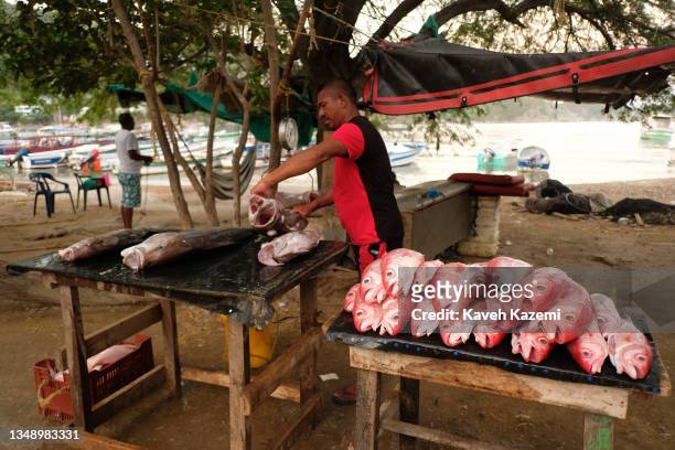 Daily life in a typical fishing village where a fisherman displays his catch for sale in the early morning hours on August 11, 2021 in Taganga,...