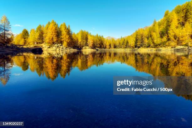 scenic view of lake in forest against clear blue sky,madesimo,sondrio,italy - isola stock-fotos und bilder