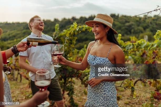 dégustation de vin entre amis dans le vignoble - dégustation photos et images de collection