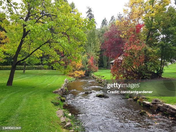 vernon creek and beautiful polson park in autumn - brook stock pictures, royalty-free photos & images