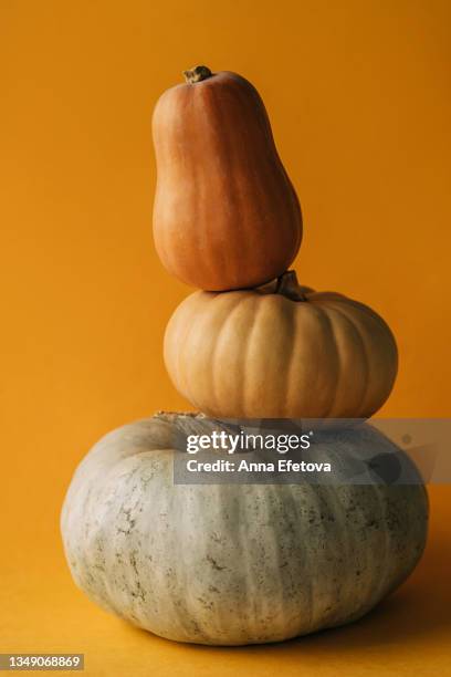 pyramid made of three pumpkins arranged on bright yellow background. concept of halloween or thanksgiving celebrating. autumn-mood photography - kalebasse stock-fotos und bilder