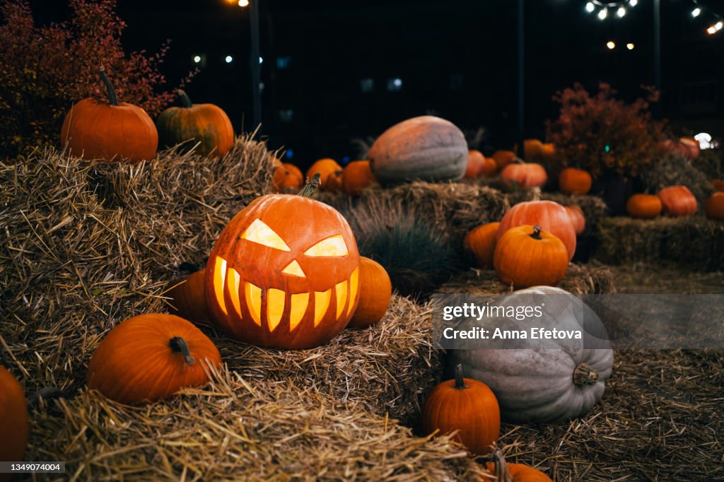 Pumpkin with spooky illuminated carved face with lightening among many pumpkins on haystacks. Halloween celebration concept. Night with beautiful garland lightening.