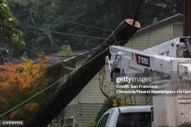 Downed tree trunk can be seen on power lines in Guerneville, Calif. On Sunday, Oct. 24, 2021. Deemed by meteorologist as an "atmospheric river," a...