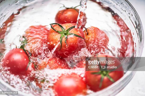 the moment when the tomatoes are rinsed. - acetylcholine stock pictures, royalty-free photos & images