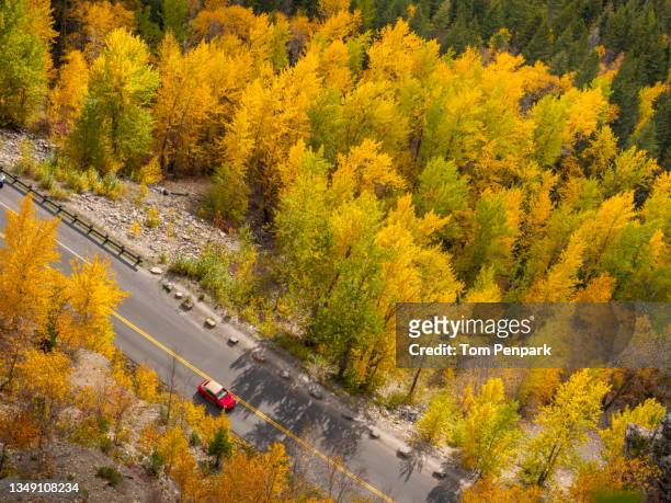 a top view of going-to-the-sun road  with yellow leaves on the trees and a red car at glacier national park. - going to the sun road stock pictures, royalty-free photos & images