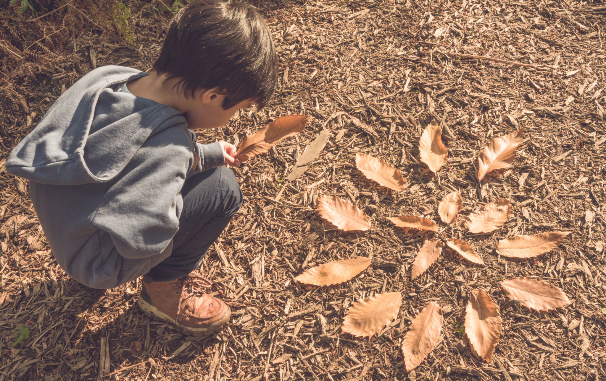 autumn therapy