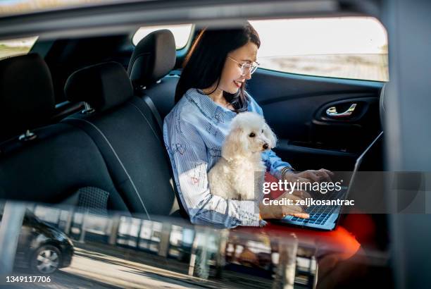 geschäftsfrau mit handy und laptop im auto - city life authentic stock-fotos und bilder