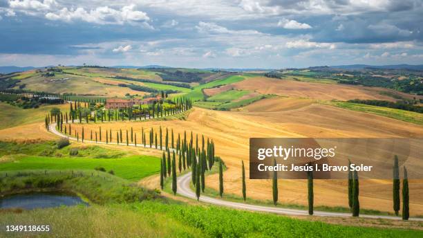 winding road flanked by cypress trees. - siena italy stock pictures, royalty-free photos & images