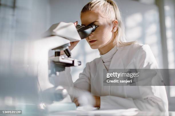 cientista feminina trabalhando em laboratório - biopsy - fotografias e filmes do acervo