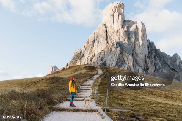 weibliche reisende, die während des malerischen sonnenuntergangs in den alpen mit einem hund in richtung berge geht - gardena stock-fotos und bilder