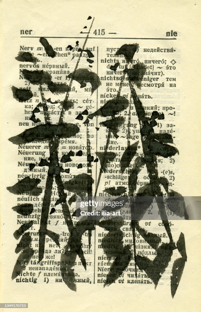 Nettle. Graphic drawing.