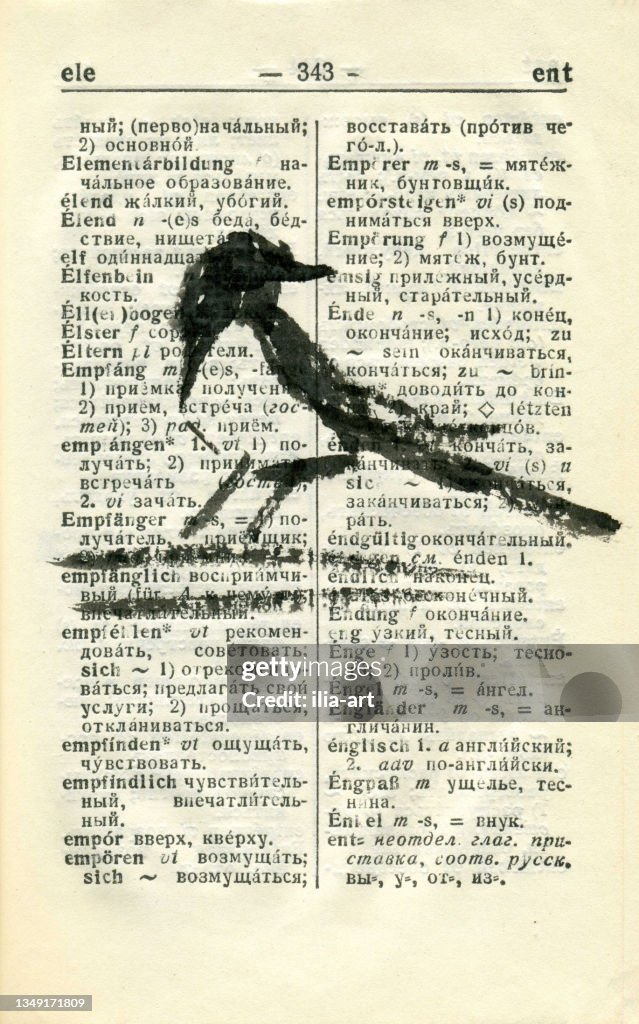 Magpie. Graphic drawing.