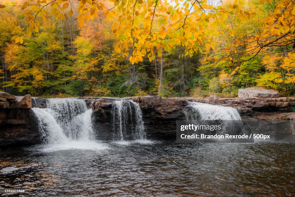 Scenic view of waterfall in forest during autumn