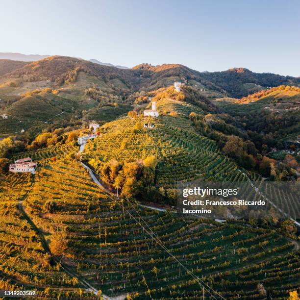 valdobbiadene (treviso), veneto, italy. vineyards and hills of prosecco sparkling white wine. aerial view at sunset, church of san lorenzo near conegliano - veneto stock pictures, royalty-free photos & images