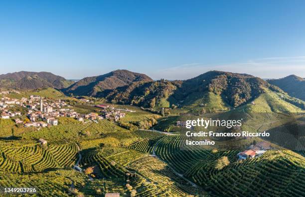 valdobbiadene (treviso), veneto, italy. vineyards and hills of prosecco sparkling white wine. aerial view - veneto stockfoto's en -beelden